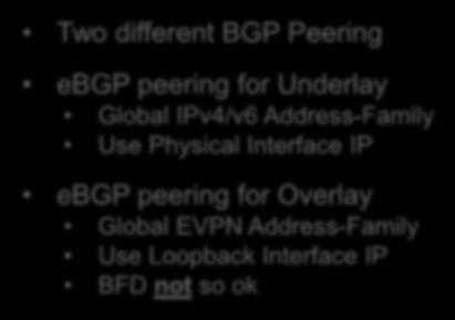Unicast Routing ebgp Model Two different BGP Peering Underlay ebgp peering
