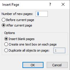 From the pop-up displayed click on the Insert Page command. This will open the Insert Page dialog box.