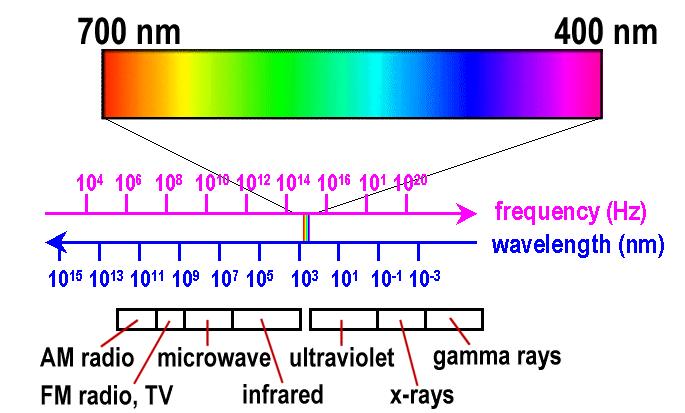 The Visible Spectrum We perceive EM