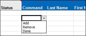 ADDING USERS IN THE WORKSHEET After you have retrieved and opened an Excel worksheet to use, fill it in with the information you want to import.
