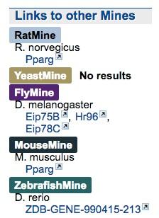 Exercise2: Exploring a Gene: 6. Is there a PPARG orthologue in D. melanogaster? Use the Links to other Mines to navigate to the D.