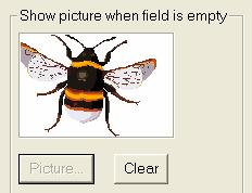 Inserting a Default Image 38 You can use the Picture box to select an image to appear on all empty fields in the records. For example, you could choose a school emblem, such as a bee.