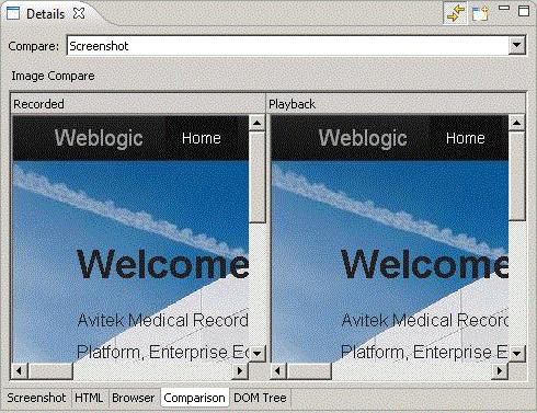Example 4: Adding Tests to the Script Figure 3 11 Details View Showing the Web Functional Test Comparison Tab 7.