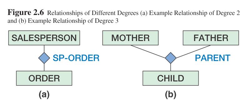 Example: Degree of the relationship Relationships of degree 2 are very