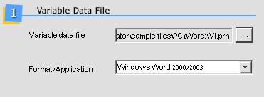 file Format/Application