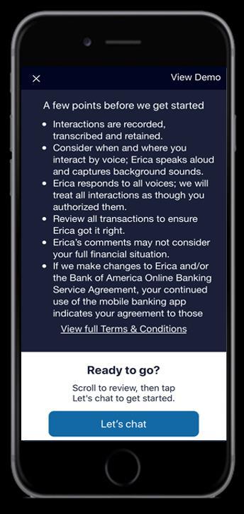 Erica will start on mute and will remain muted unless clients click the Tap to hear my voice banner on the first page. The Terms and Conditions will appear, with a link to view all.