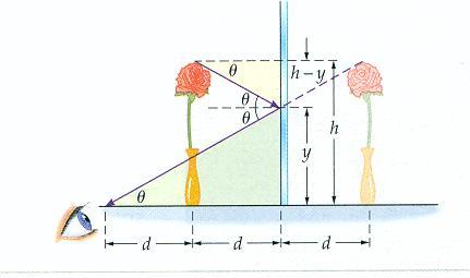 Example 3. An observer is at table level, a distance d in front of a flower of height h. The flower itself is a distance d to the left of a mirror, as shown in the sketch.