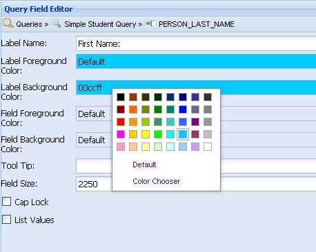 Figure 44: Color Pallet for the First Name Query Field 9. In the Field Size field, type 4000. 10. Click Save to save your changes. 11.