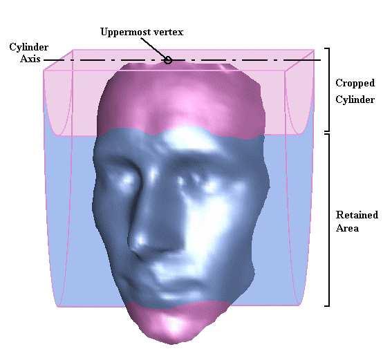Three-Dimensional Face Recognition forehead and chin regions.
