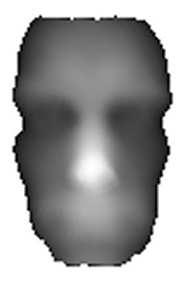 Three-Dimensional Face Recognition Depth map The depth map is generated using the procedure described in section 5.3.