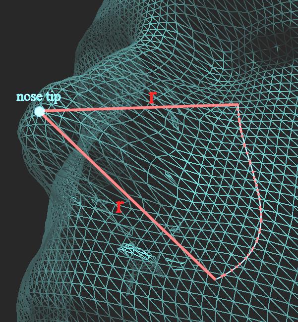 Three-Dimensional Face Recognition Figure 5-27 Generation of an IRAD contour relative to the nose tip Firstly, due to the uneven nature of the 3D mesh the IRAD points will not be evenly spaced around