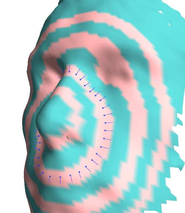 Three-Dimensional Face Recognition intensity) of the surface.
