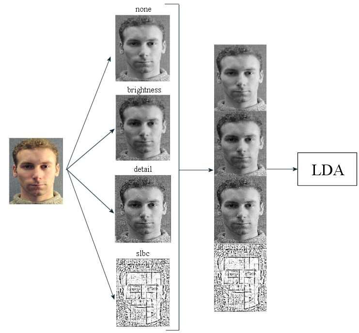 Combining Methods of Face Recognition Figure 7-29 Illustration of the process used to carry out pre-training combination. The main drawback of this method is the high computational time complexity.