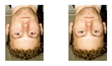 Literature Review ability to recognise faces is heavily influenced by knowledge of the generic structure, orientation, colour and texture of faces. This is reinforced by the illusion in Figure 3-6.