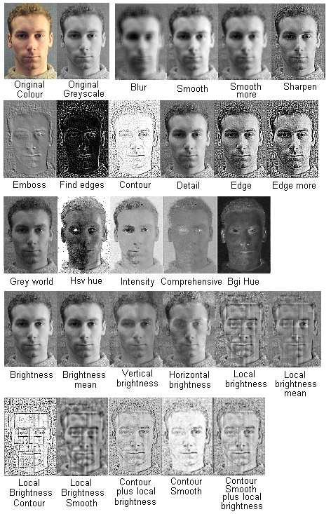 Two-dimensional Face Recognition techniques, before applying PCA. Figure 4-14 shows the resulting images, after application of the various processing techniques described in detail in section 4.5.