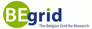 Grid organisation National Grid Initiatives & European