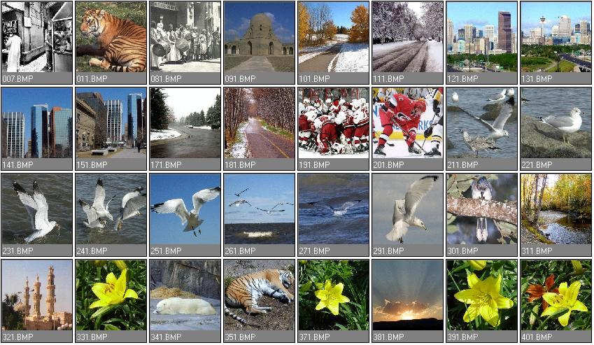 Using the above algorithm, the query image is searched for in the image database. The Euclidean distance is calculated between the query image and every image in the database.