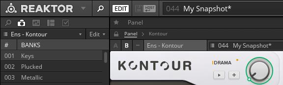 REAKTOR as a Plug-in Editing Ensembles and Automatic Saving A local copy of your Ensemble is saved and the Save Ensemble button turns from red to grey, indicating that all changes have been saved.