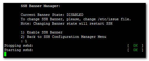 : SSH Log Current Level 10.3.5.
