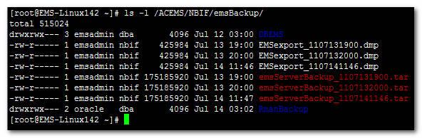 directory. Figure 10-142: EmsBackup File Note: When the EMS server works for long periods of time, its database contains a large volume of information.