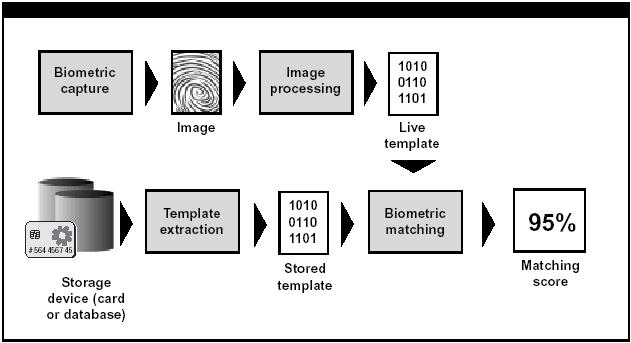 Matching. Figure 14 illustrates the biometric matching process. The biometric sample is again captured.