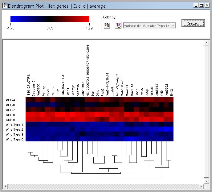 What you see in this plot is the expression profile for each of these genes, in your cell lines.