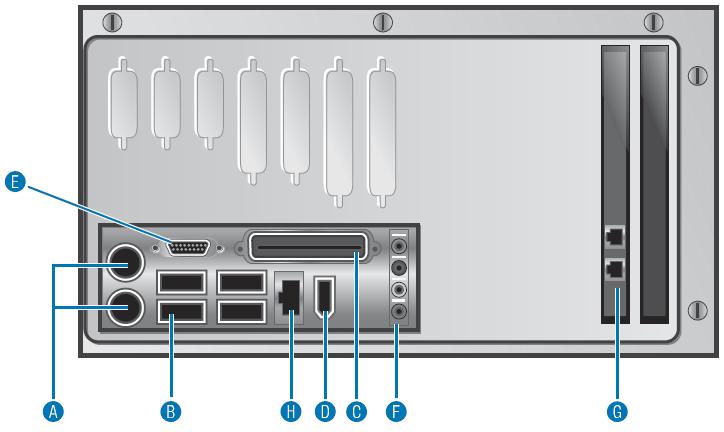 Examples of Ports A. PS/2 B. USB ports C. Parallel D.