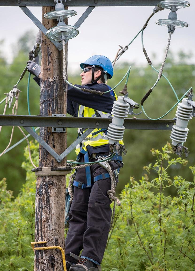 NETWORK RESILIENCE The investment in our network over the last 20 years has resulted in continuity of supply to our customers improving by more than 60%.