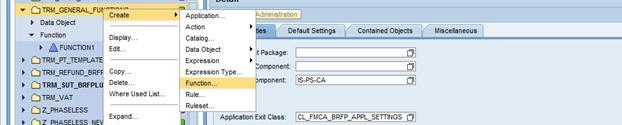 Create BRF+ Function After the Application is created the BRF+ Functions can be created.