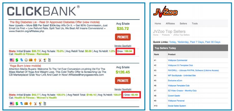 You can find lots of the best ones inside affiliate networks such as www.clickbank.