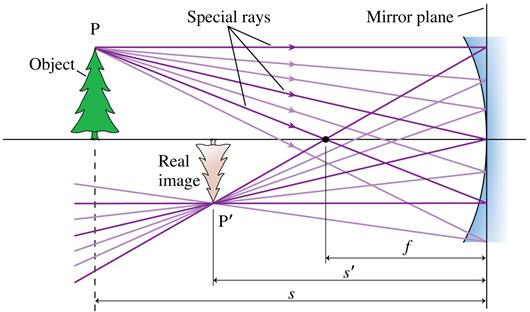 Rays parallel to the optical axis reflect and pass through the focal point of the mirror.