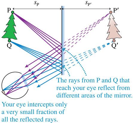 The angle of reflection equals the angle of incidence: θ r = θ I Slide 23-33 The Plane Mirror Consider P, a source