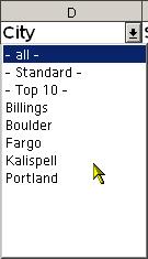 Autofilter lets you pick one value for a column, like Boulder for the City column, and view the rows in that spreadsheet with Boulder in the