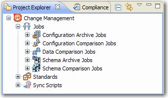 USER INTERFACE REFER ENCE Project Explorer Project Explorer provides a list that organizes jobs, standards, and synchronization scripts into project folders.