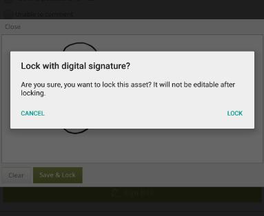 This message will appear which informs you that the form will be locked once you click Lock.