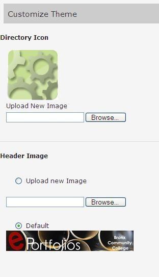 Click on Upload new image and browse for banners you ve saved to your computer. Custom CSS: You can also change the CSS, which controls colors and fonts on your eportfolio.