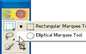Clickand-hold on the Rectangular Marquee tool and a pop-out menu will appear. Choose the Elliptical Marquee tool.