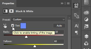 Click through, and return to the Black & White Adjustment Layer on your Layers Palette.