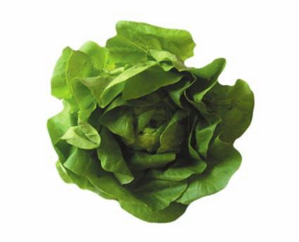You ll preview the shadow that you ll add to the lettuce against one of the mattes.
