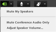 In the main menu bar, select any of the following from the speaker menu :