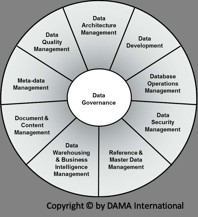 Data Governance v.