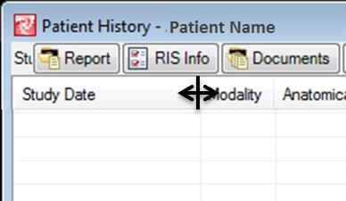 Note: The Patient History information is the same patient history information from the Patient History list in the Study Browser.