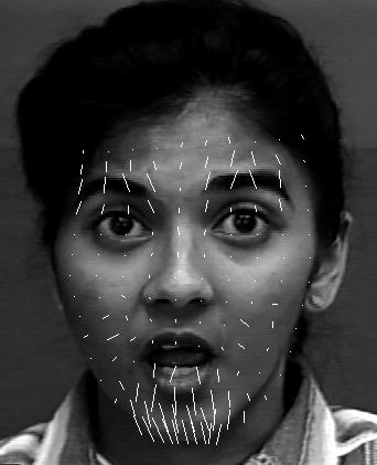 The fitting algorithm searches for the model that best describes the face visible in the image. Therefore, it aims at finding the model parameters that minimize the objective function.