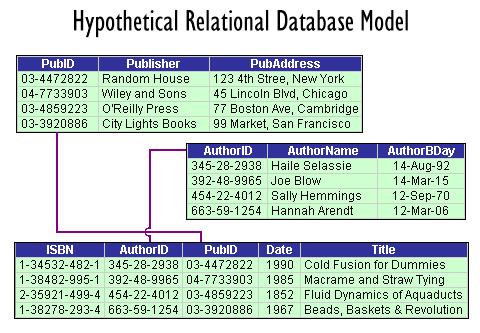 Collection of tables and relationships Tables