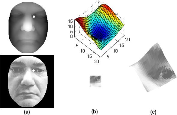 6 Int J Comput Vis (2008) 79: 1 12 Fig. 3 a A keypoint displayed (in white colour) on a 3D face (top) and its corresponding texture map (bottom).