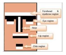 Fig.1Different Haar features The haar features are applied over the face and as each haar feature represents different part of the face the relevant feature of the face matches with that particular
