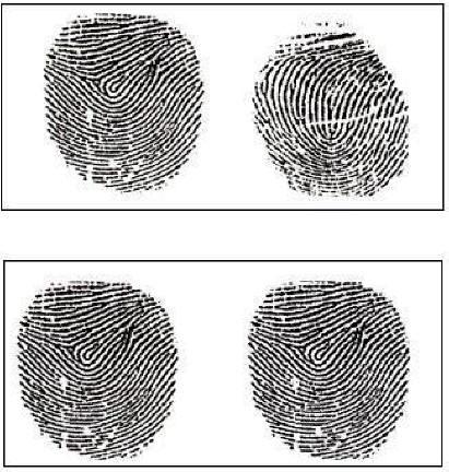 3. Results The experiment started with preparing the input and reference fingerprints. For demonstration purposes, two sets of fingerprints were prepared as shown in Fig. 4.