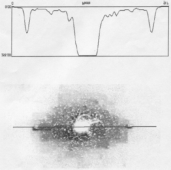 Fig. 8. Cross-sectional analysis of the autocorrelation image. The top image is the autocorrelation image shown in Fig. 6 with the background subtracted by NIH. 4.