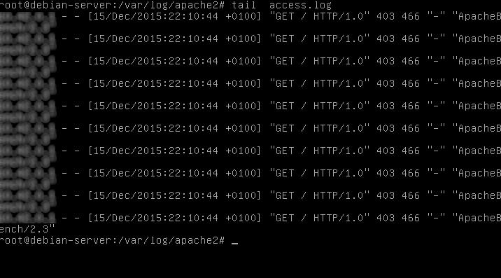 In common IP of the attacker Script Malware Plugin Wordpress,