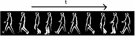 We show the ICA basis images and the PCA basis images from human walking sequences in Fig. 2 and Fig. 4. he 4 basis functions of the each algorithm are shown in Fig. 3 and Fig. 5. Fig. 3 (a) and Fig.